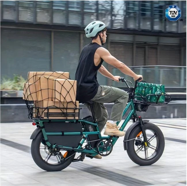 Dual-Battery Electric Cargo Bike factory